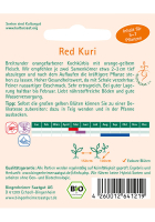 Bio-Kürbis Red Kuri 50 Korn