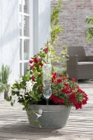 Blumat Easy XL 1Stück