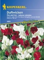 Wicken Duft Fire and Ice