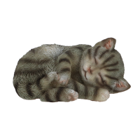 Schlafende Katze grau