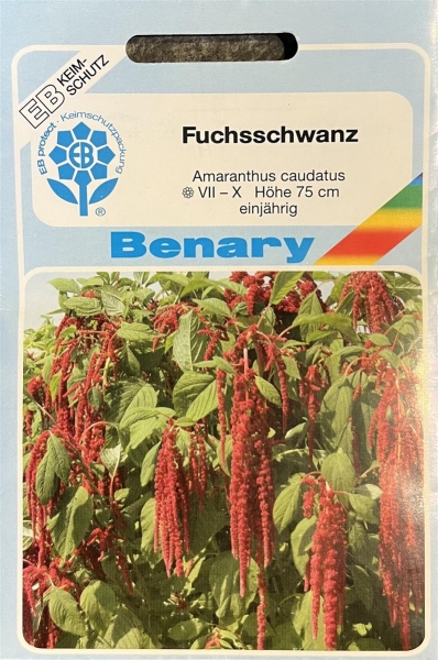 Fuchsschwanz MHD 12/23