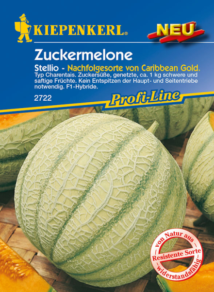 Zuckermelone Stellio F1