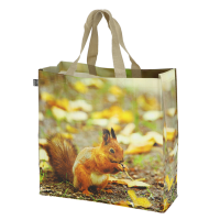 Einkaufstasche Eichhörnchen