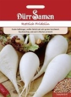 Rettich Fridolin MHD 12/25