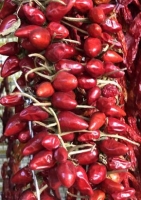 Chili - "Birds-Eye" / Vogelaugen-Chili