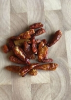 Chili - "Birds-Eye" / Vogelaugen-Chili