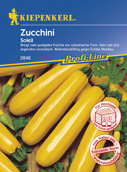 Zucchini Soleil gelb