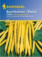 Buschbohne Voletta