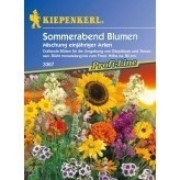 Sommerabend Blumenmix MHD 01/25