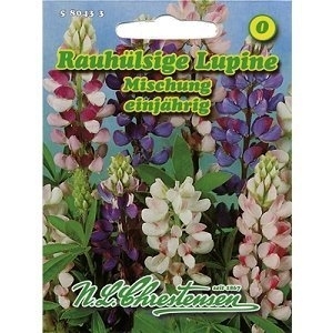 Lupine Rauhülsige MHD 1/26